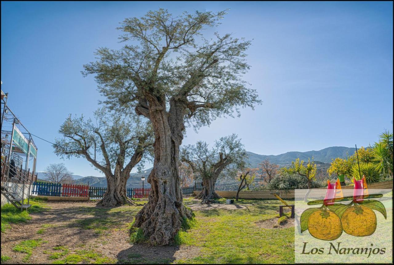 Hostal Y Apartamento Rural Los Naranjos Hotel Melegis Eksteriør billede