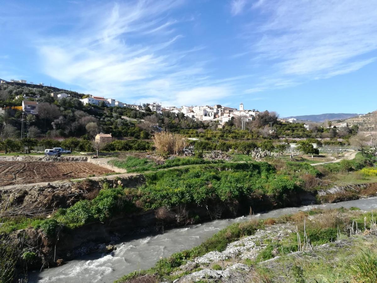 Hostal Y Apartamento Rural Los Naranjos Hotel Melegis Eksteriør billede