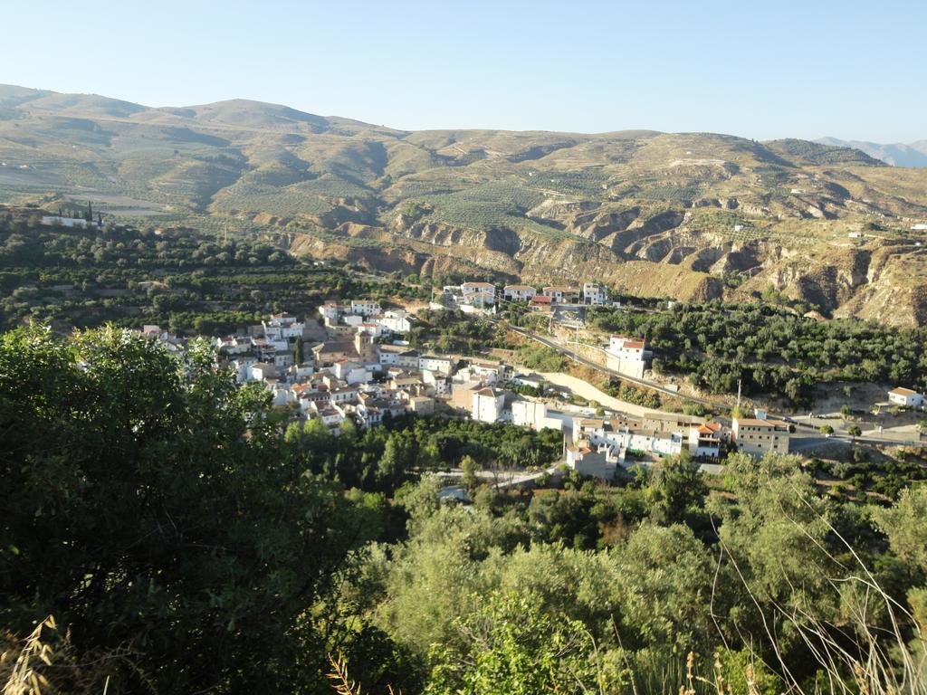 Hostal Y Apartamento Rural Los Naranjos Hotel Melegis Værelse billede