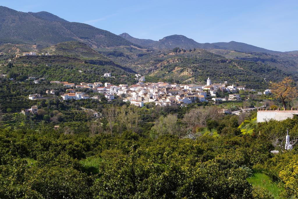 Hostal Y Apartamento Rural Los Naranjos Hotel Melegis Værelse billede